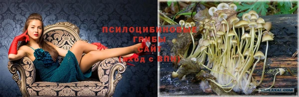 кокаин перу Алексеевка