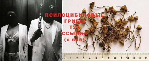 дживик Алексин